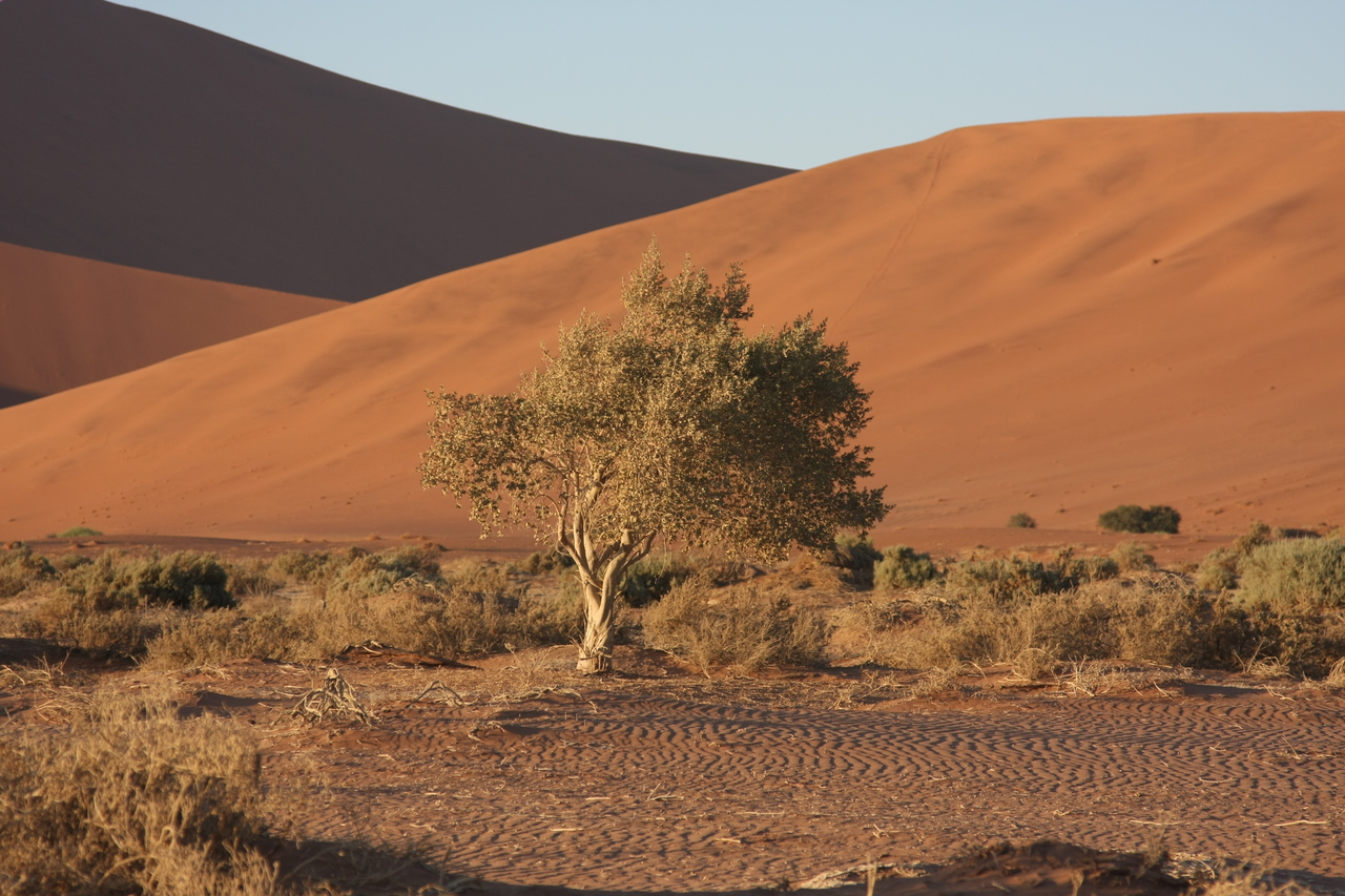 [14730] 2016_06_25_02_22_18_Africa_Canon_EOS_40D_IMG__02195.jpg