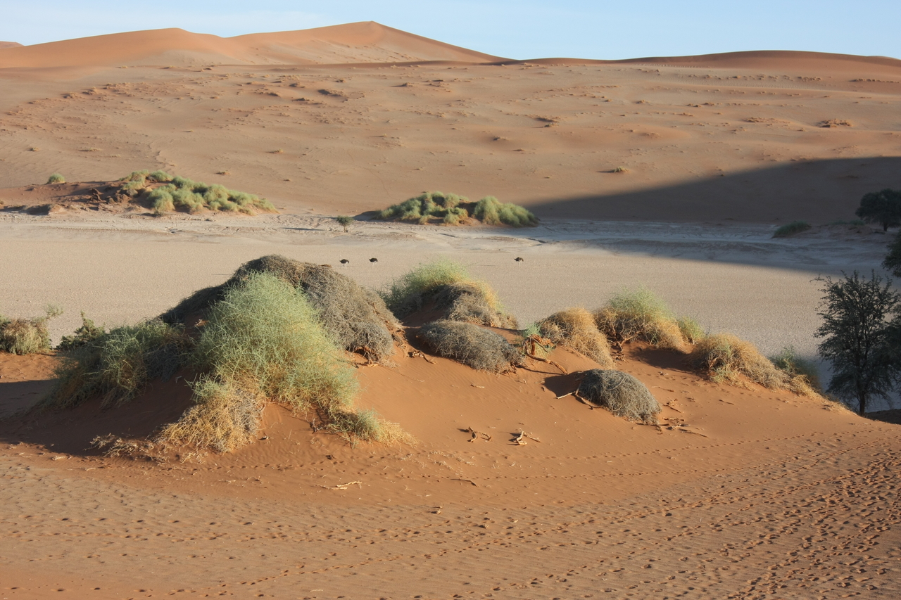 [14794] 2016_06_25_02_50_25_Africa_Canon_EOS_40D_IMG__02225.jpg