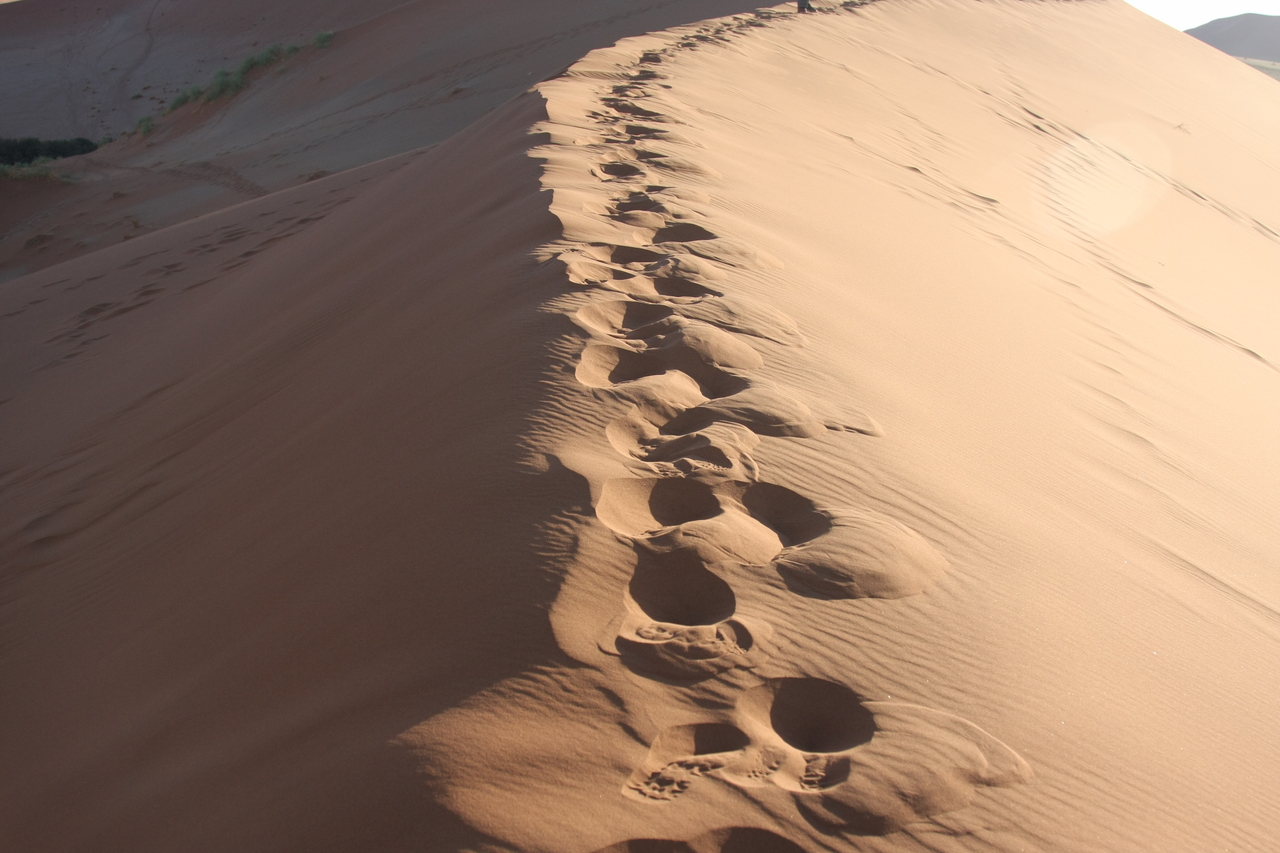 [14815] 2016_06_25_02_51_58_Africa_Canon_EOS_40D_IMG__09679.jpg