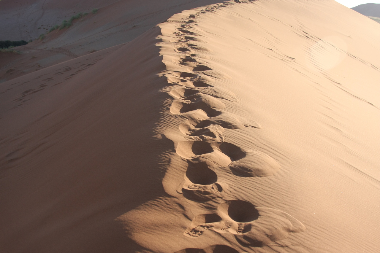 [14816] 2016_06_25_02_51_58_Africa_Canon_EOS_40D_IMG__09680.jpg