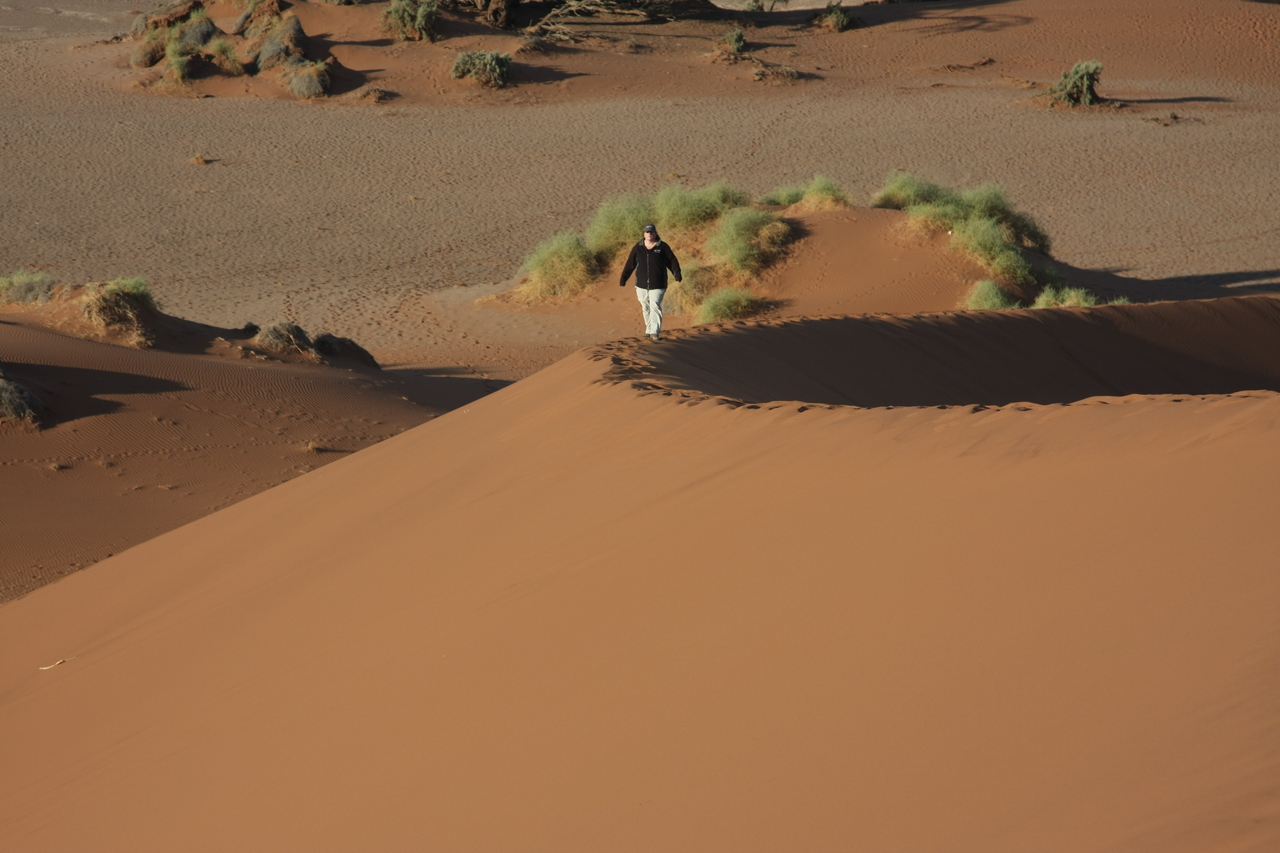 [14871] 2016_06_25_02_58_34_Africa_Canon_EOS_40D_IMG__00259.jpg