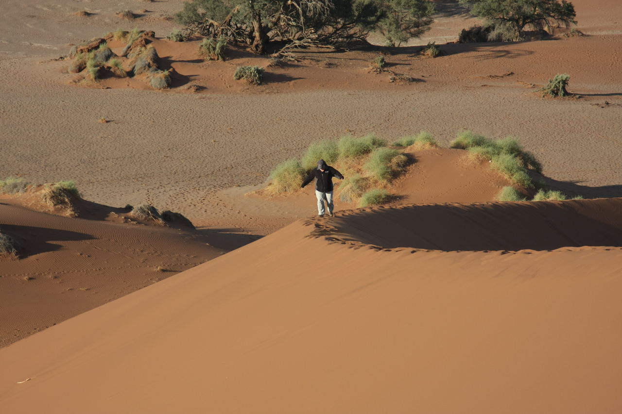 [14879] 2016_06_25_02_58_38_Africa_Canon_EOS_40D_IMG__02254.jpg