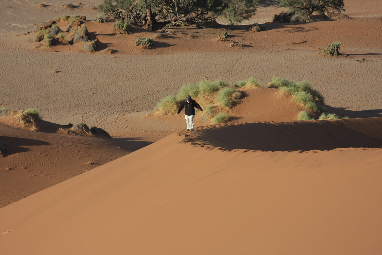 [14883] 2016_06_25_02_58_39_Africa_Canon_EOS_40D_IMG__00263.jpg