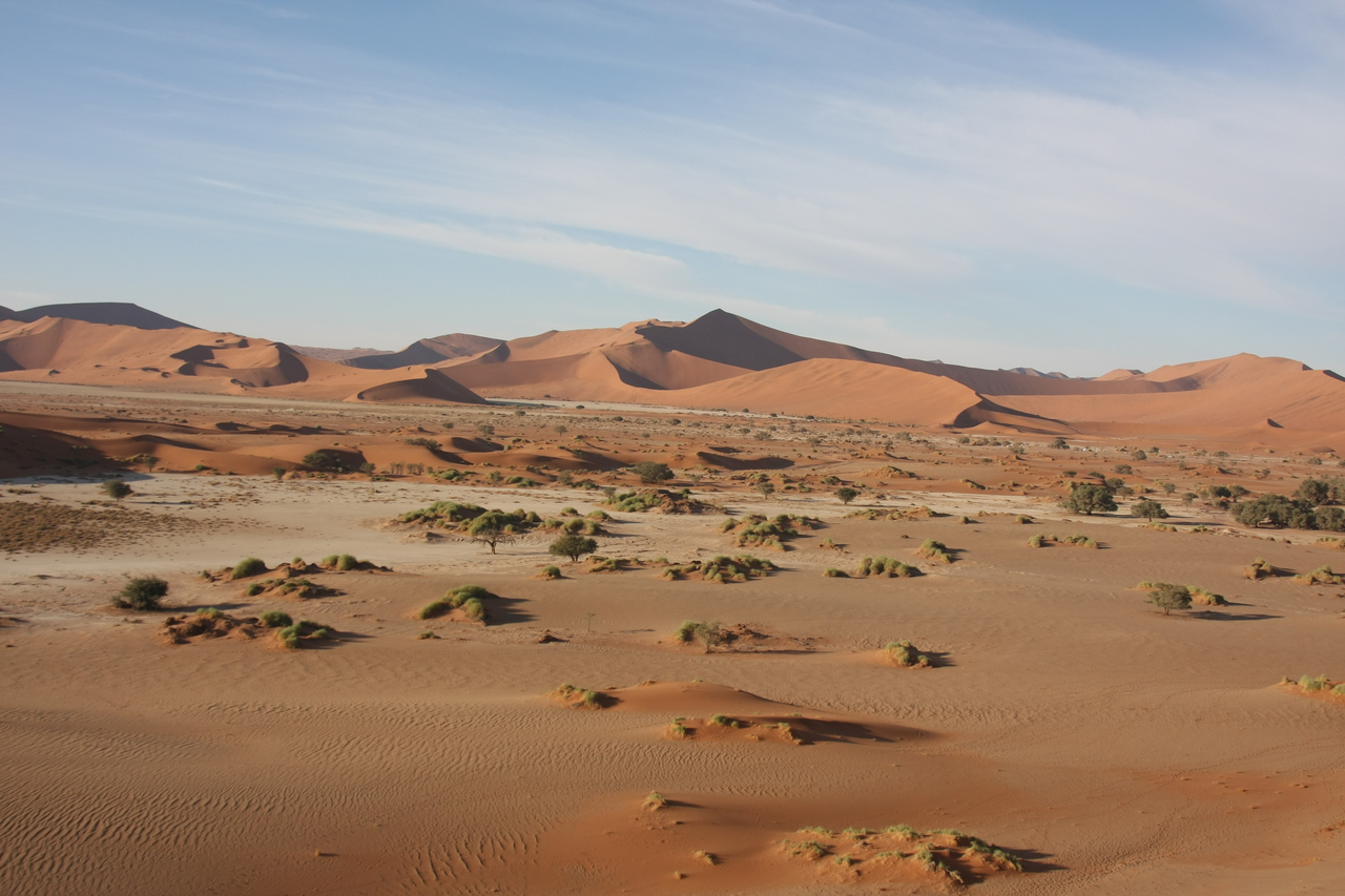 [14912] 2016_06_25_03_01_38_Africa_Canon_EOS_40D_IMG__00269.jpg