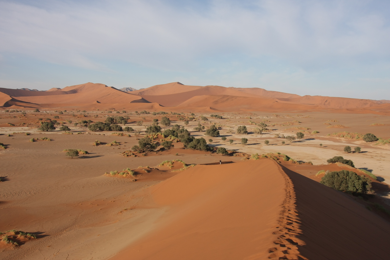 [14930] 2016_06_25_03_02_15_Africa_Canon_EOS_40D_IMG__00275.jpg