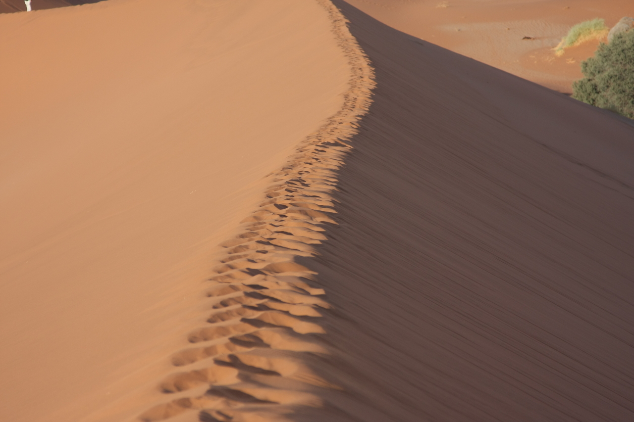 [14945] 2016_06_25_03_06_24_Africa_Canon_EOS_40D_IMG__00281.jpg