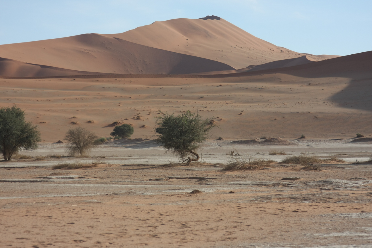 [15125] 2016_06_25_03_40_05_Africa_Canon_EOS_40D_IMG__00043.jpg