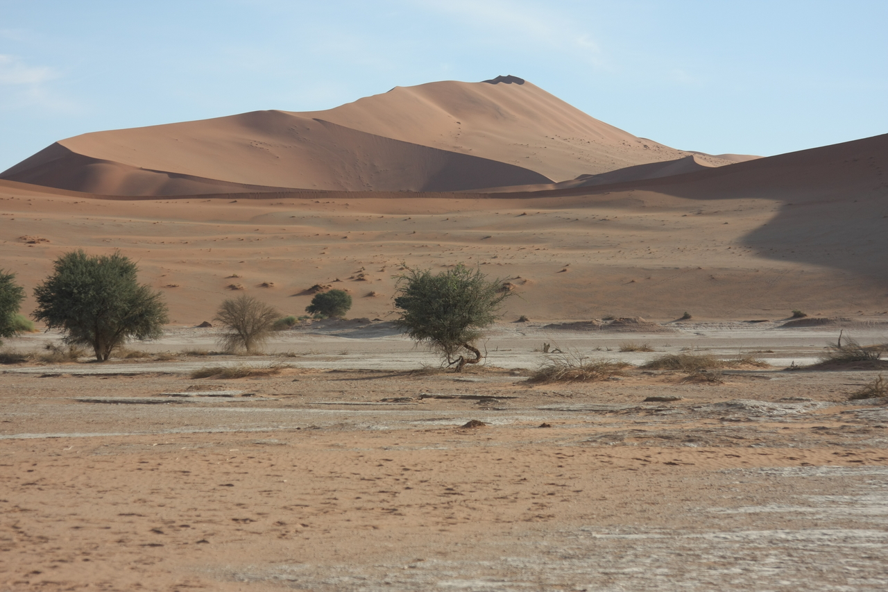 [15132] 2016_06_25_03_40_09_Africa_Canon_EOS_40D_IMG__09484.jpg