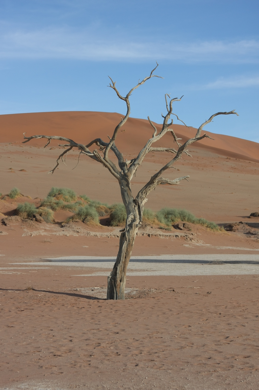 [15133] 2016_06_25_03_41_05_Africa_Canon_EOS_40D_IMG__00045.jpg