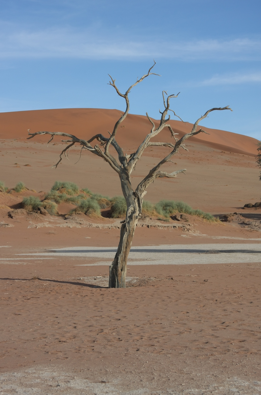 [15136] 2016_06_25_03_41_08_Africa_Canon_EOS_40D_IMG__00046.jpg