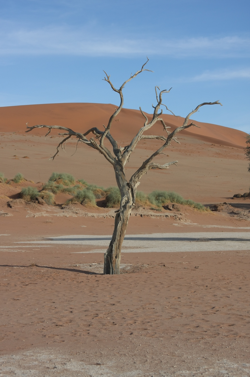 [15141] 2016_06_25_03_41_08_Africa_Canon_EOS_40D_IMG__09488.jpg