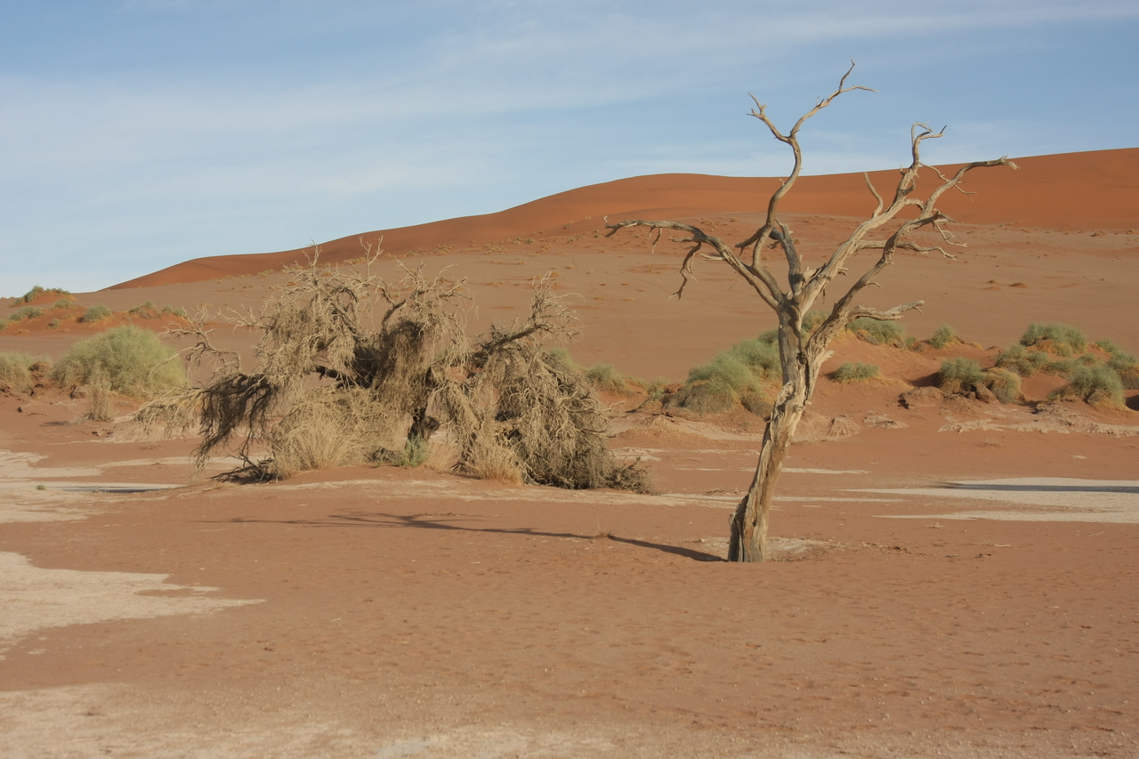 [15142] 2016_06_25_03_42_02_Africa_Canon_EOS_40D_IMG__00049.jpg