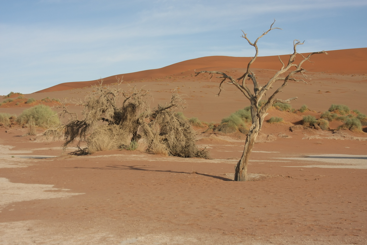 [15147] 2016_06_25_03_42_02_Africa_Canon_EOS_40D_IMG__09490.jpg