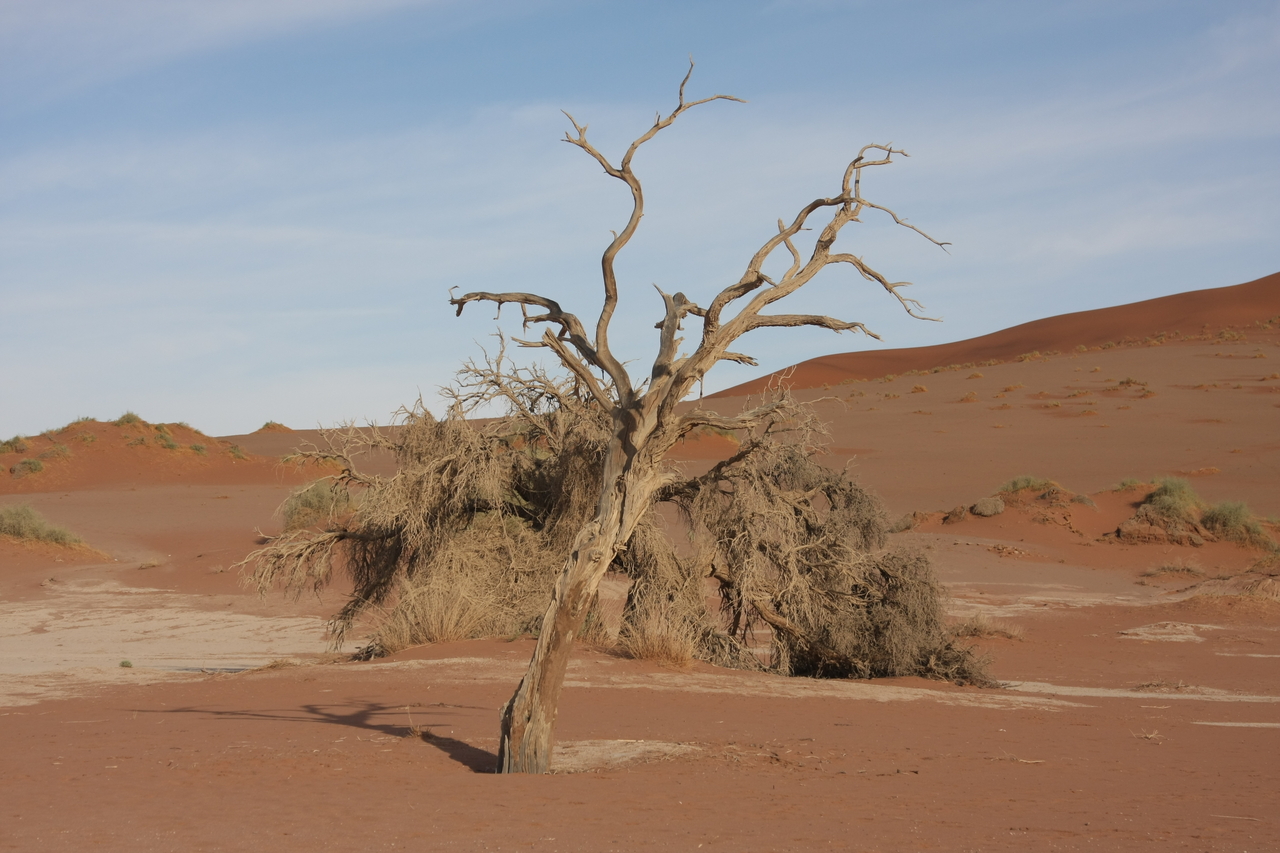 [15150] 2016_06_25_03_42_35_Africa_Canon_EOS_40D_IMG__09491.jpg