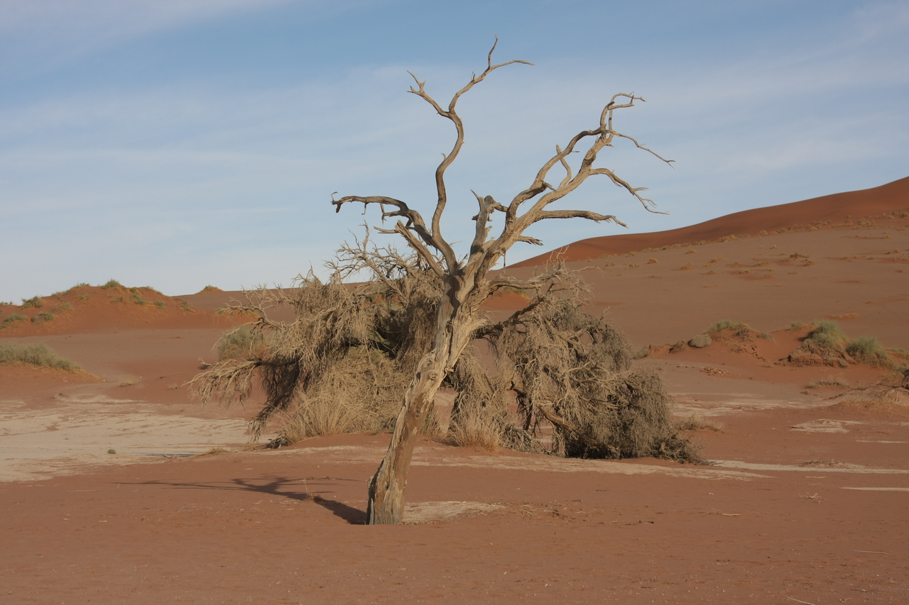 [15151] 2016_06_25_03_42_44_Africa_Canon_EOS_40D_IMG__00052.jpg