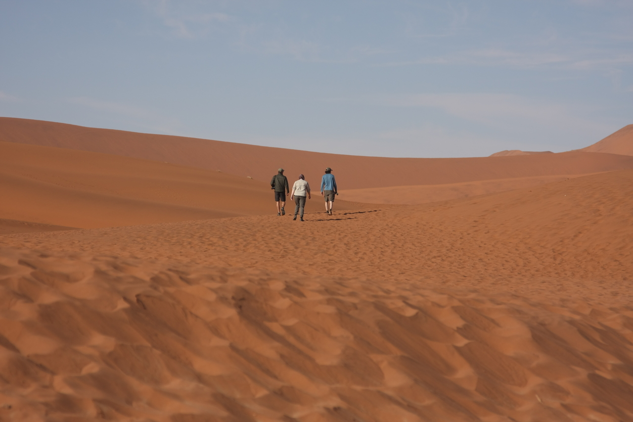 [15267] 2016_06_25_04_33_21_Africa_Canon_EOS_40D_IMG__00083.jpg