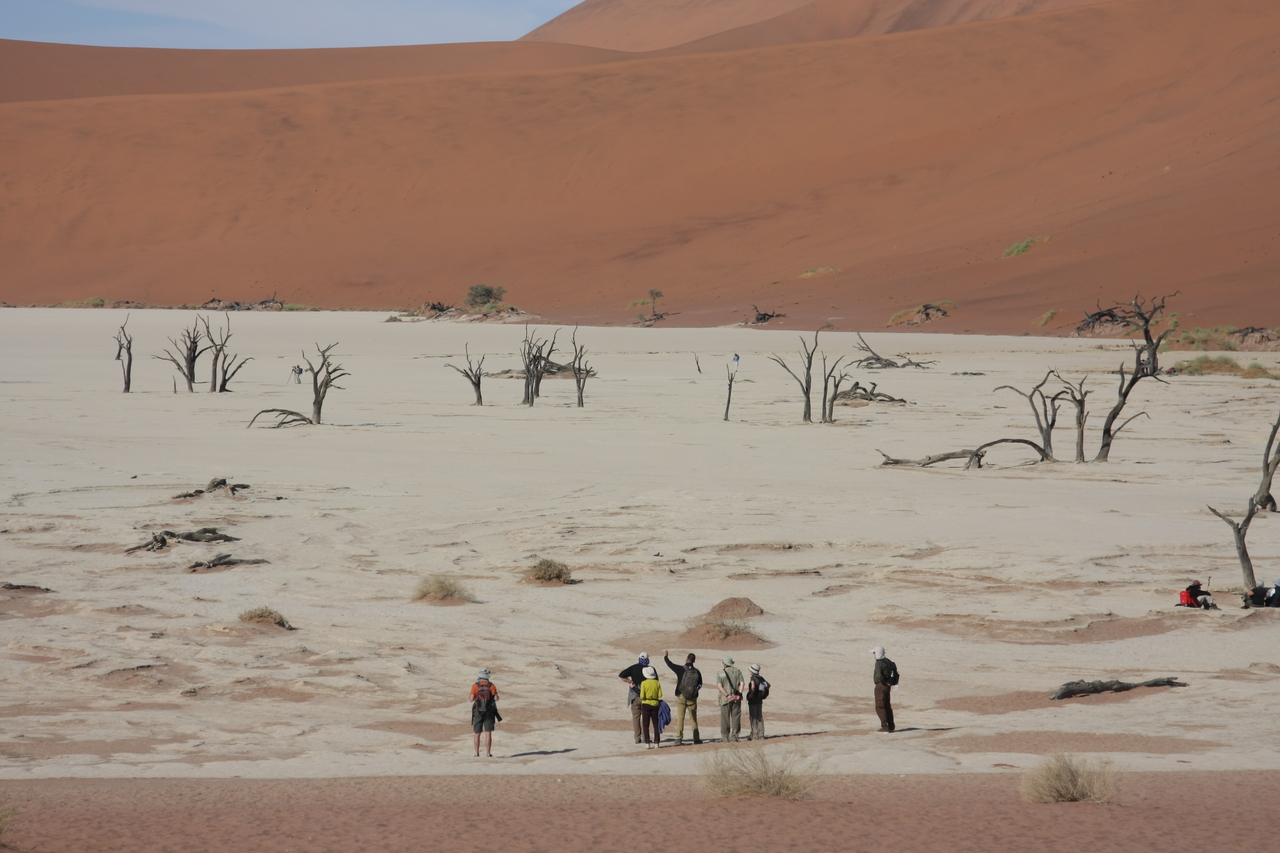 [15278] 2016_06_25_04_48_01_Africa_Canon_EOS_40D_IMG__00086.jpg