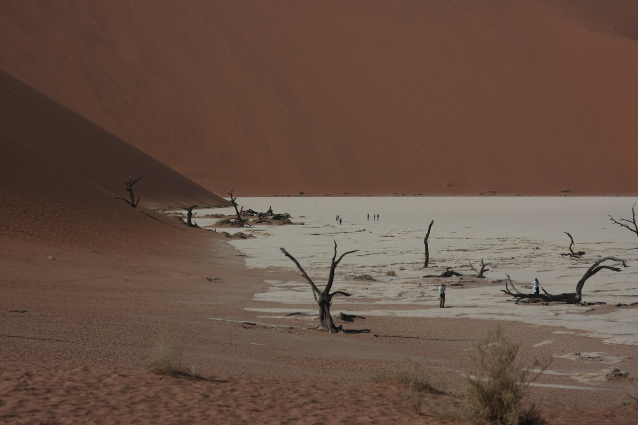 [15287] 2016_06_25_04_48_09_Africa_Canon_EOS_40D_IMG__00089.jpg