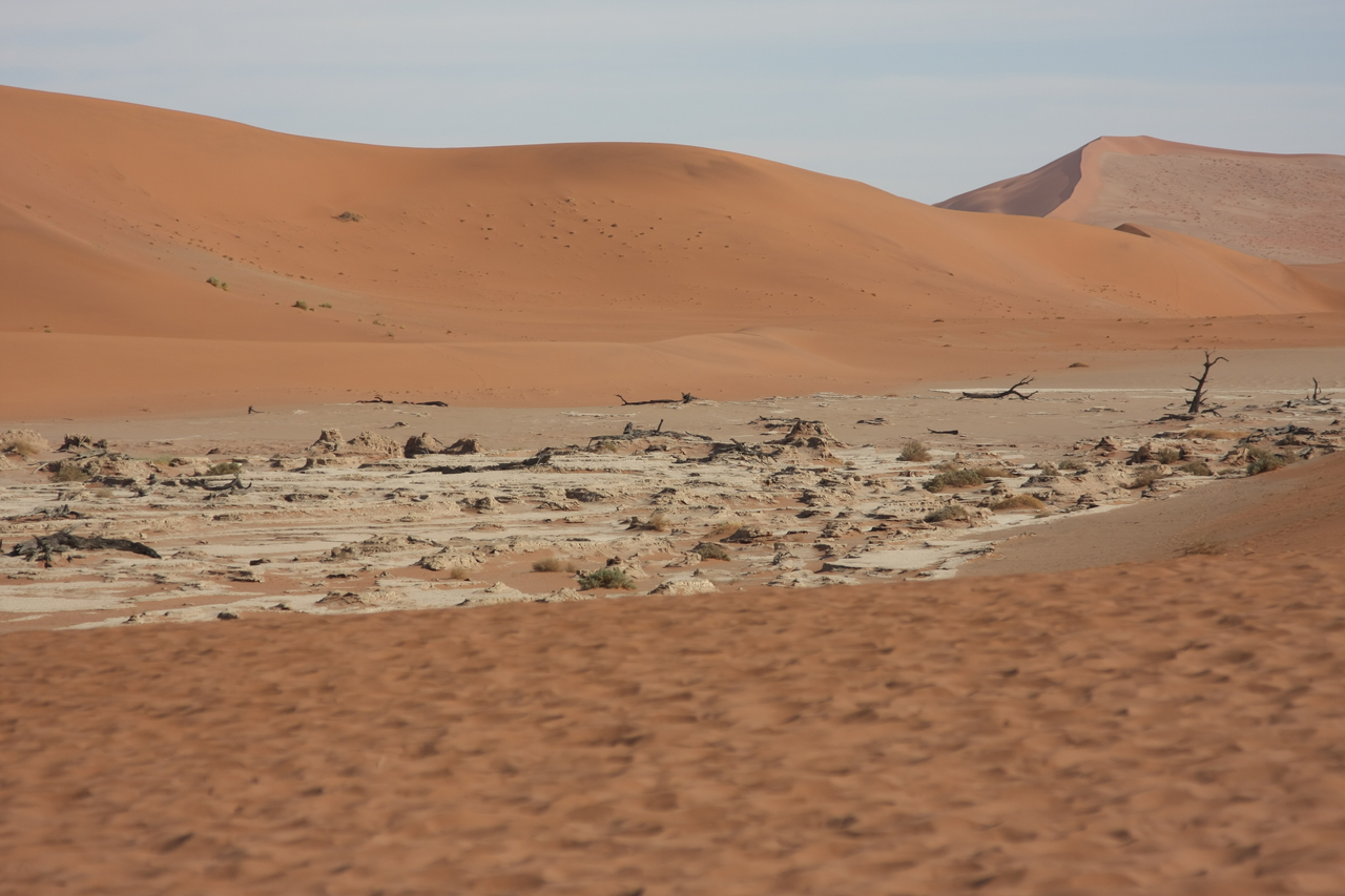 [15290] 2016_06_25_04_48_26_Africa_Canon_EOS_40D_IMG__00090.jpg