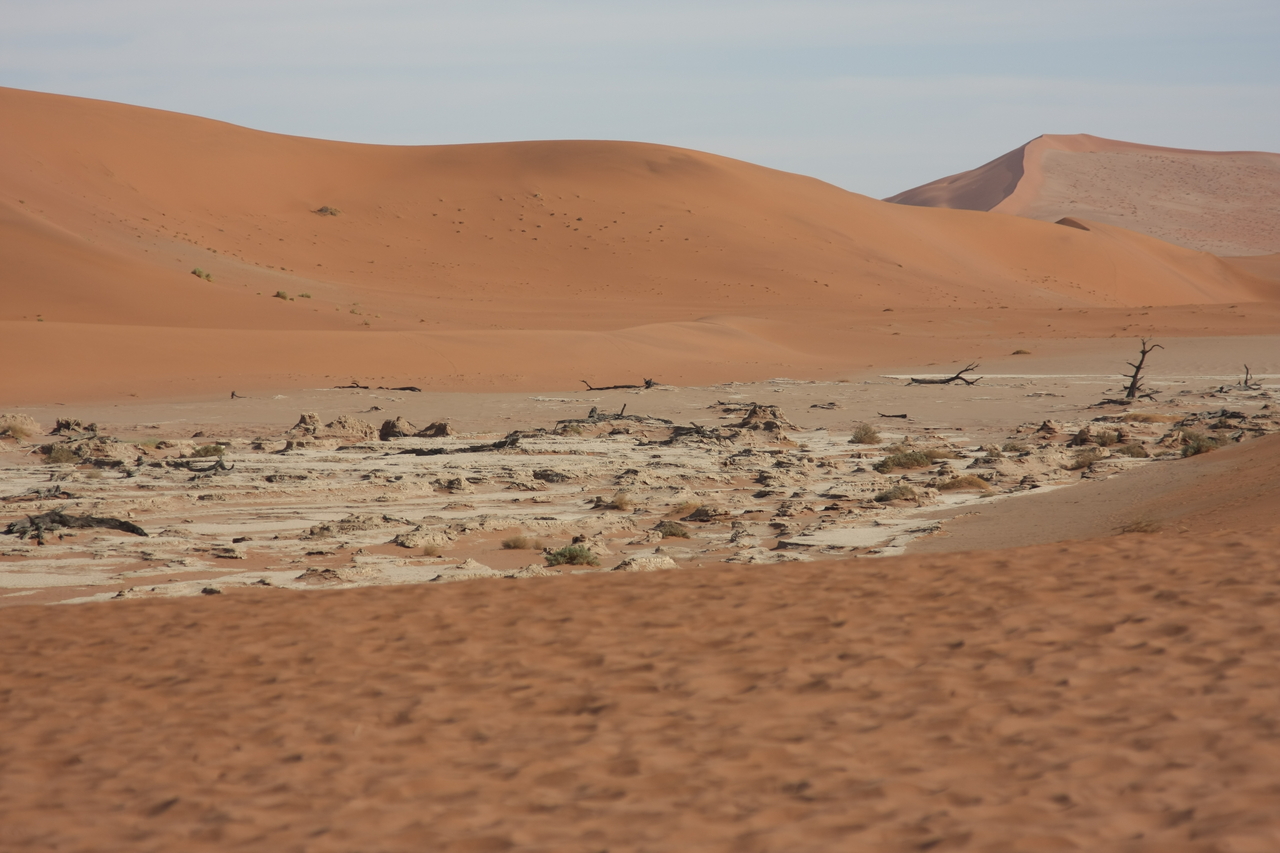 [15293] 2016_06_25_04_48_26_Africa_Canon_EOS_40D_IMG__02085.jpg