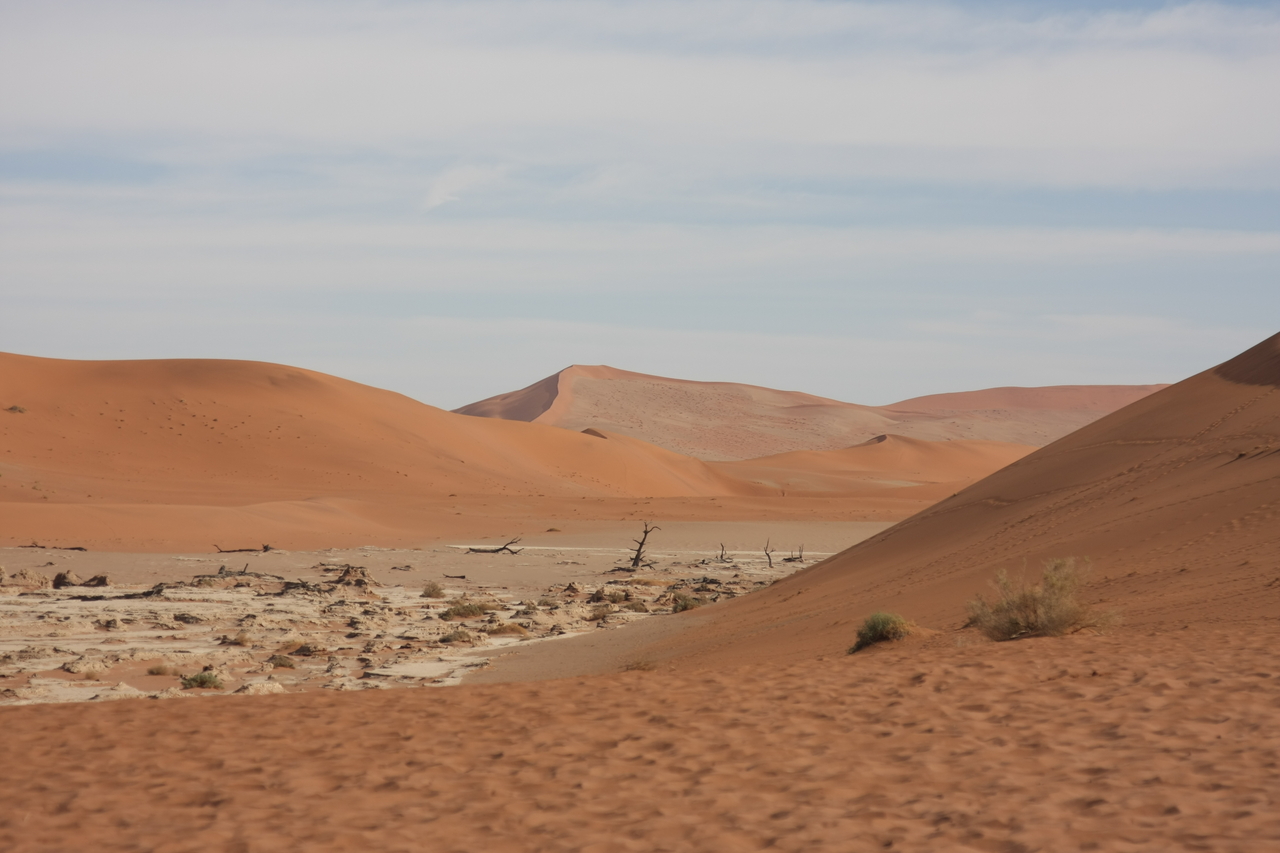 [15299] 2016_06_25_04_48_30_Africa_Canon_EOS_40D_IMG__02087.jpg