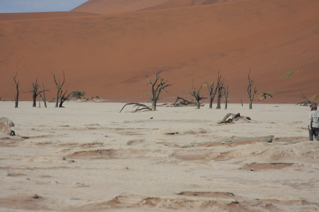 [15309] 2016_06_25_04_50_25_Africa_Canon_EOS_40D_IMG__00098.jpg