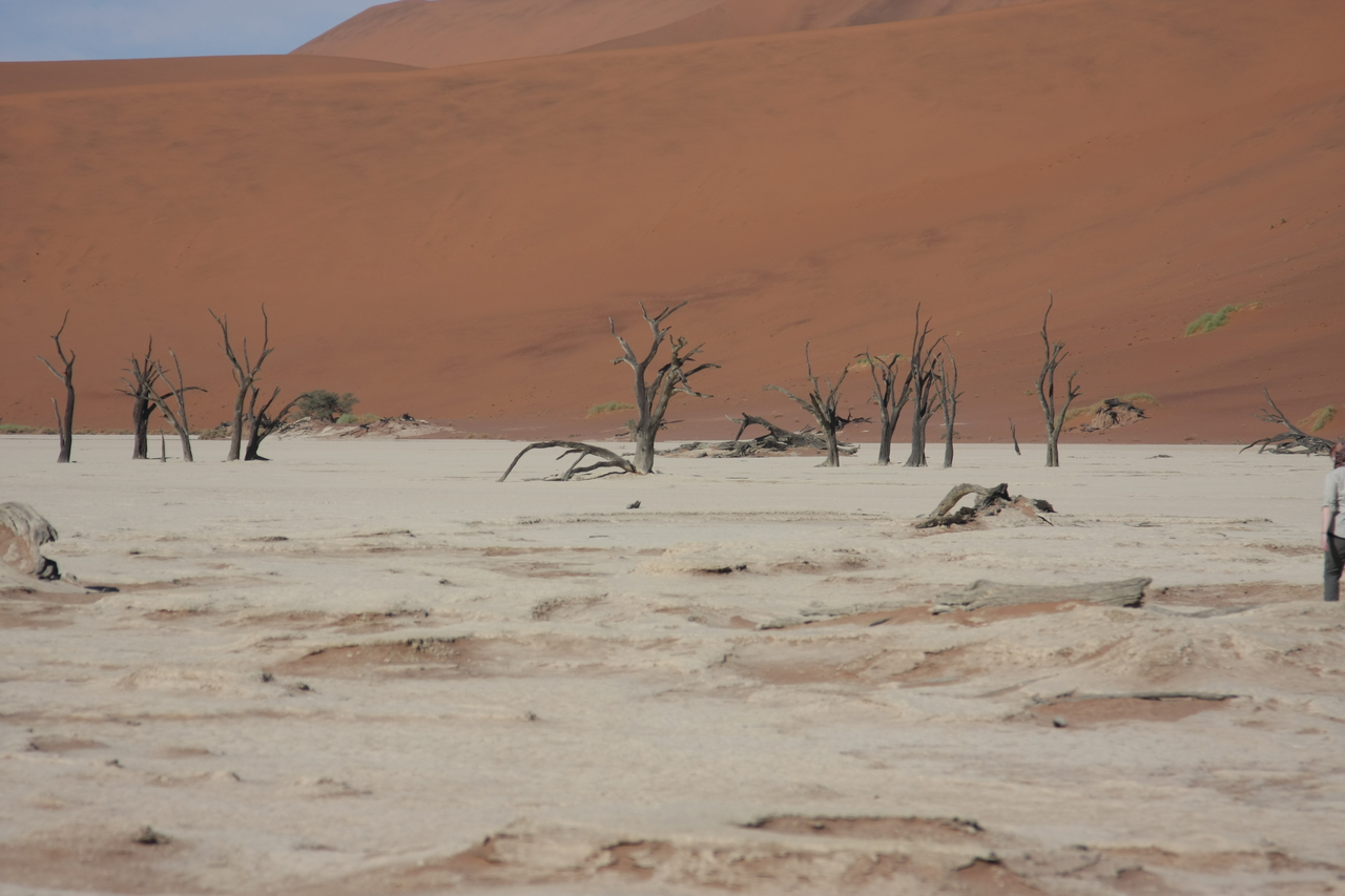 [15310] 2016_06_25_04_50_25_Africa_Canon_EOS_40D_IMG__02090.jpg