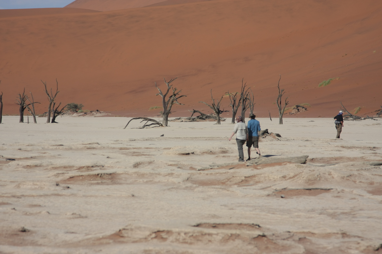 [15315] 2016_06_25_04_50_33_Africa_Canon_EOS_40D_IMG__02092.jpg