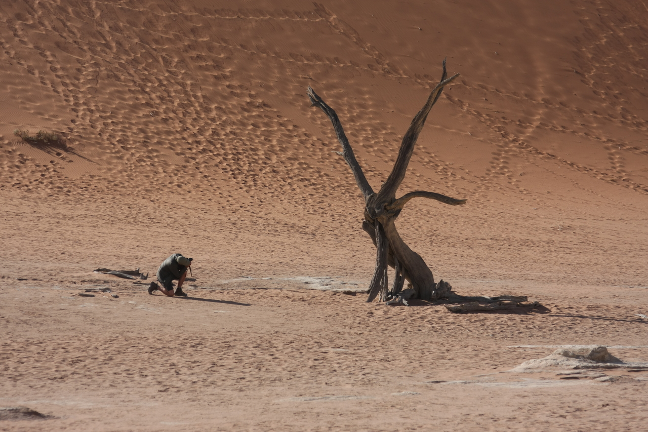 [15321] 2016_06_25_04_50_52_Africa_Canon_EOS_40D_IMG__09540.jpg