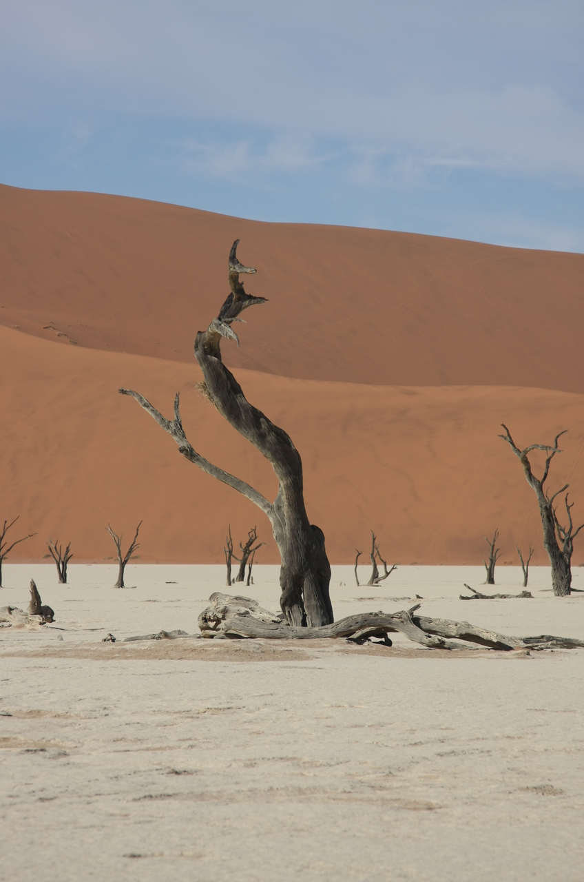 [15326] 2016_06_25_04_51_50_Africa_Canon_EOS_40D_IMG__00104.jpg