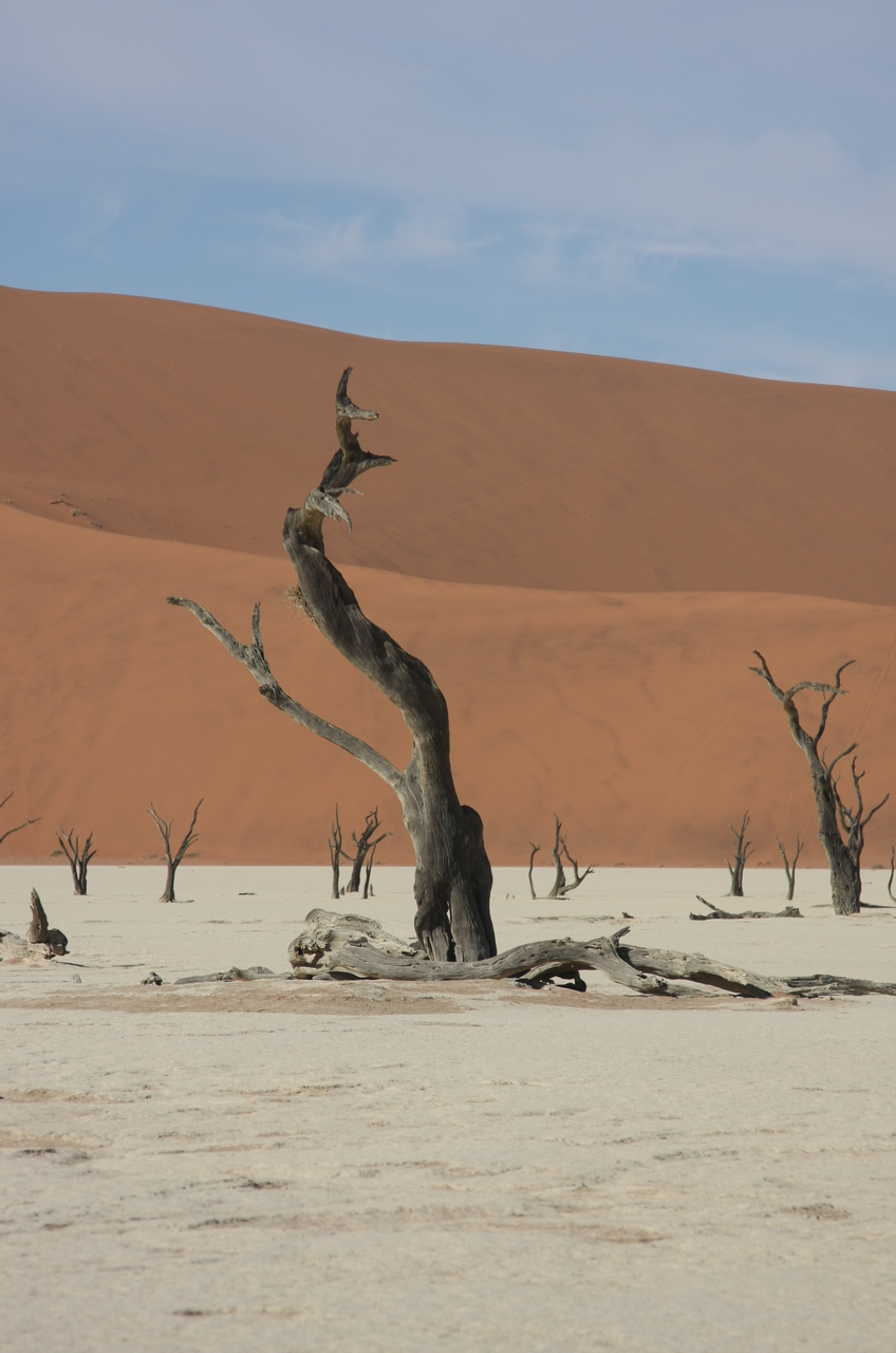 [15331] 2016_06_25_04_51_50_Africa_Canon_EOS_40D_IMG__09545.jpg