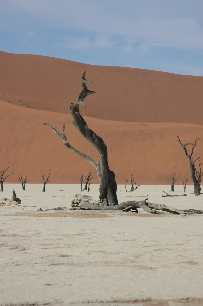 [15334] 2016_06_25_04_51_52_Africa_Canon_EOS_40D_IMG__09546.jpg