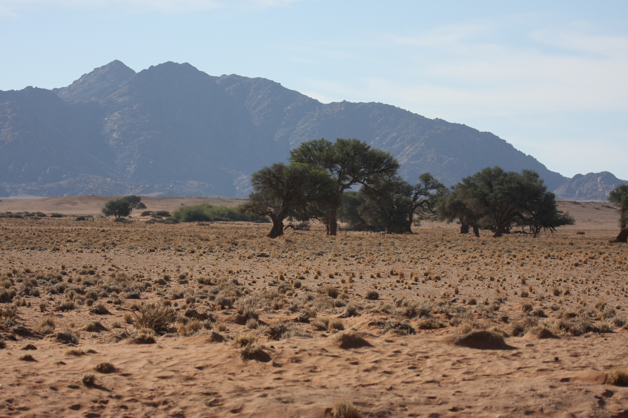 [15787] 2016_06_25_09_32_18_Africa_Canon_EOS_40D_IMG__09556.jpg