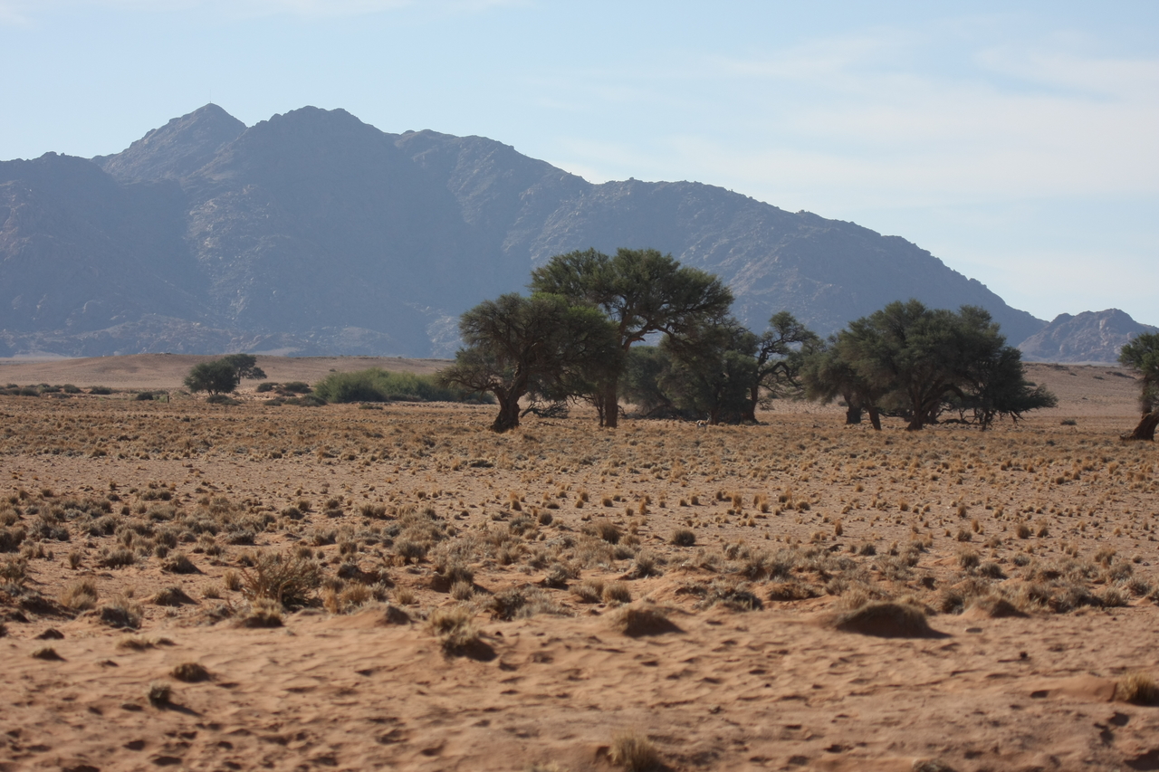 [15788] 2016_06_25_09_32_19_Africa_Canon_EOS_40D_IMG__00117.jpg