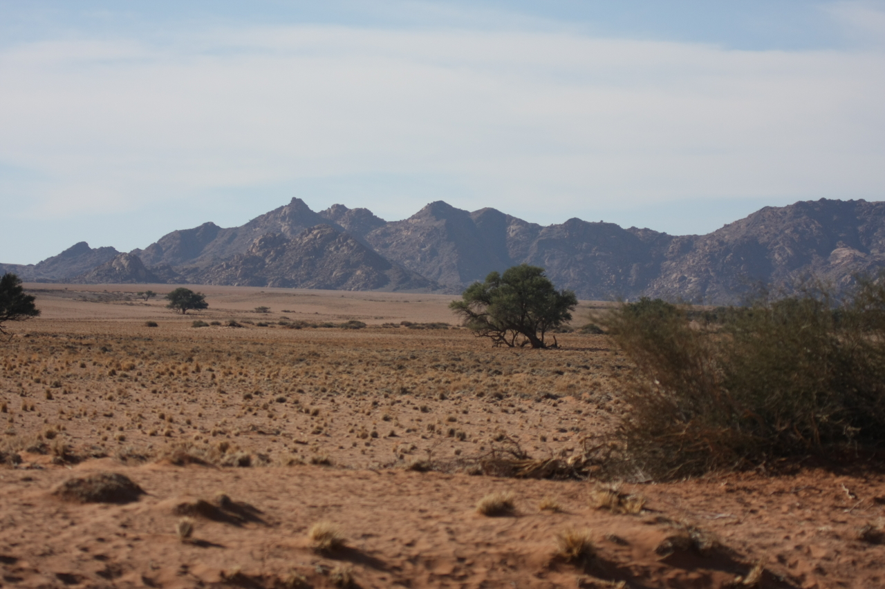 [15792] 2016_06_25_09_32_36_Africa_Canon_EOS_40D_IMG__00119.jpg