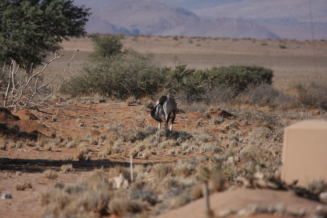 [15800] 2016_06_25_09_33_07_Africa_Canon_EOS_40D_IMG__00121.jpg