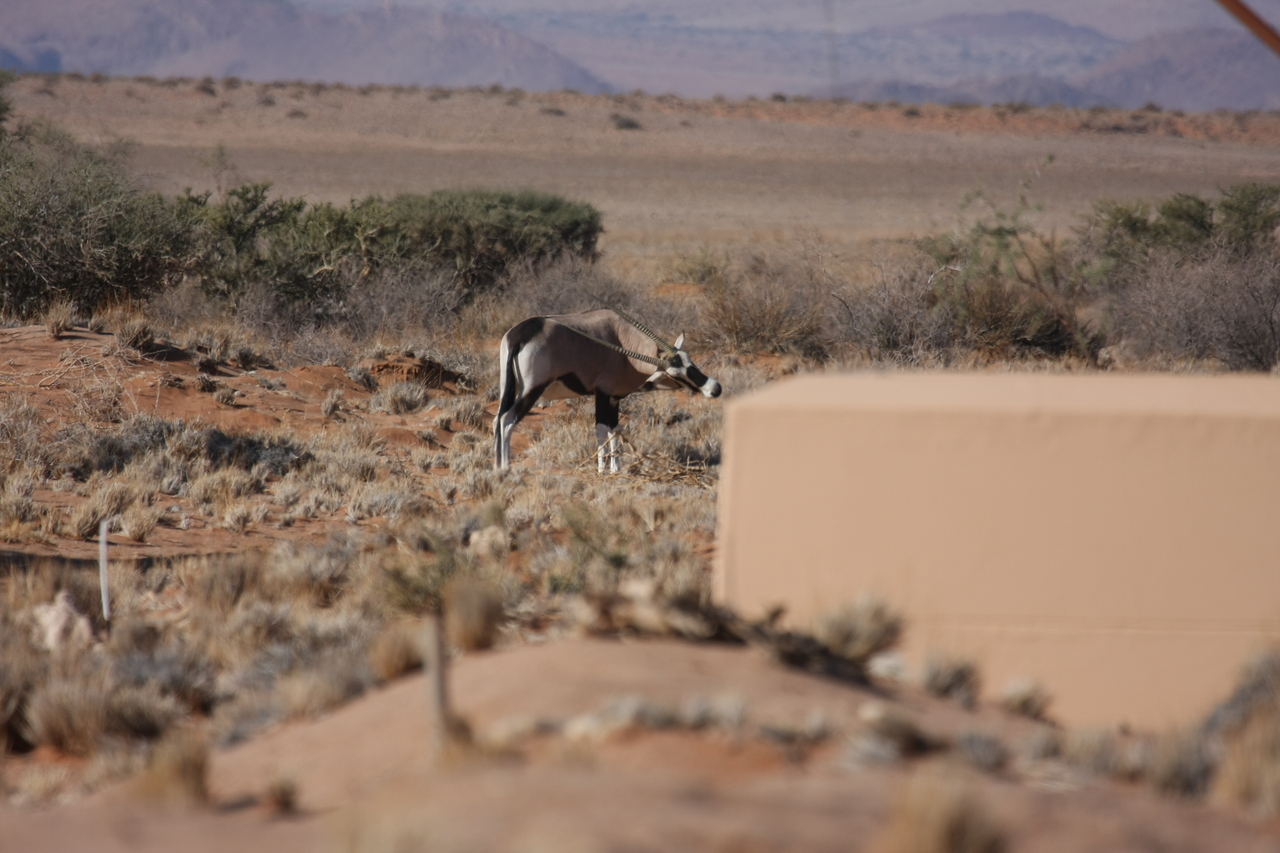 [15815] 2016_06_25_09_33_58_Africa_Canon_EOS_40D_IMG__00127.jpg