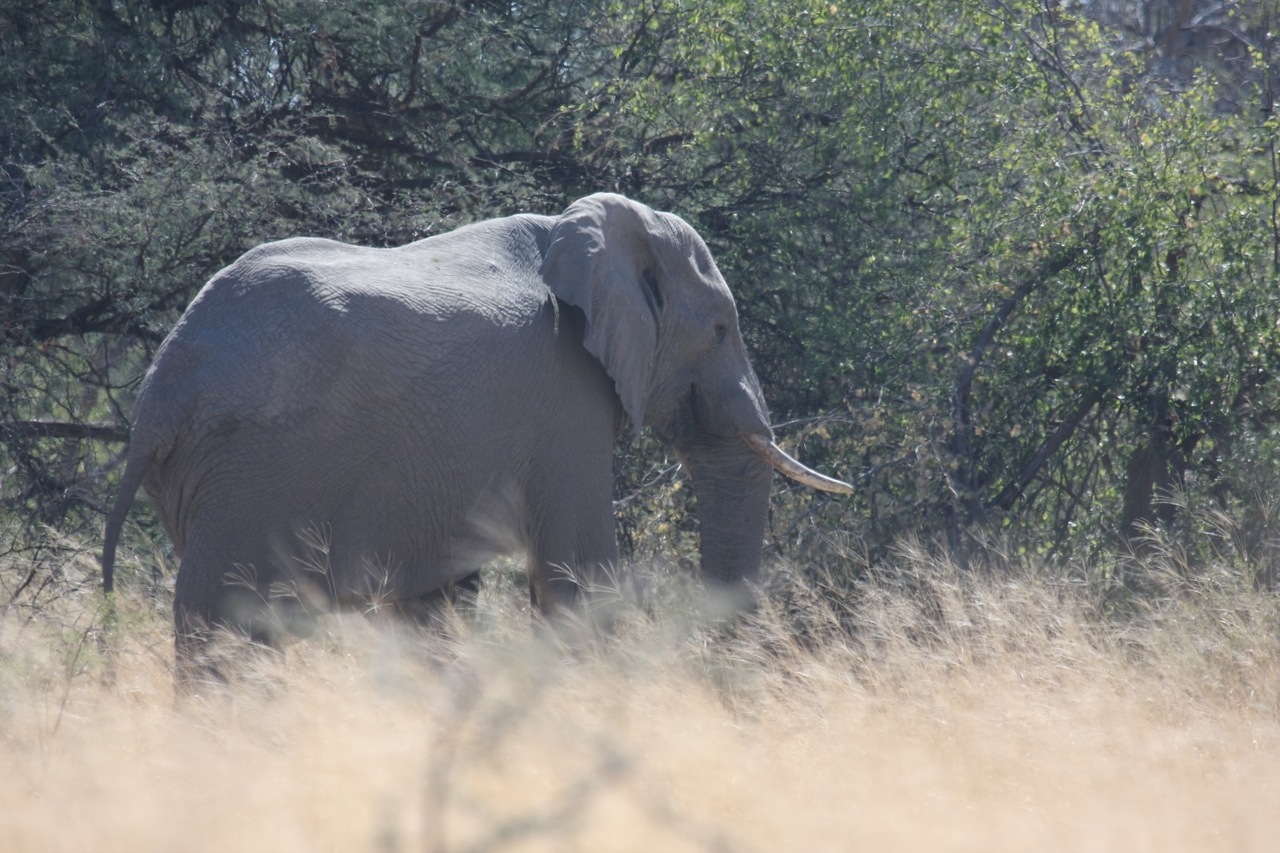 [16750] 2016_06_27_06_18_19_Africa_Canon_EOS_40D_IMG__09750.jpg