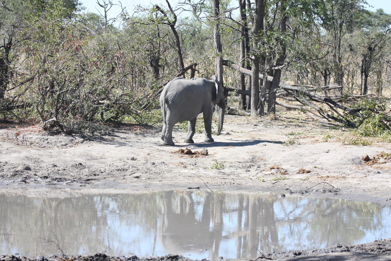 [16837] 2016_06_27_07_51_58_Africa_Canon_EOS_40D_IMG__09758.jpg
