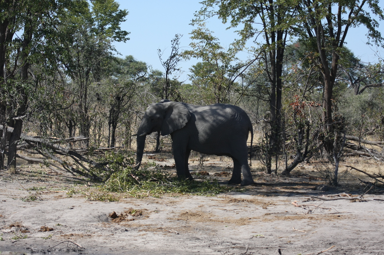 [16850] 2016_06_27_07_52_11_Africa_Canon_EOS_40D_IMG__02315.jpg