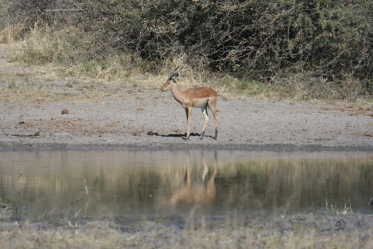 [16928] 2016_06_27_08_07_28_Africa_Canon_EOS_40D_IMG__00049.jpg