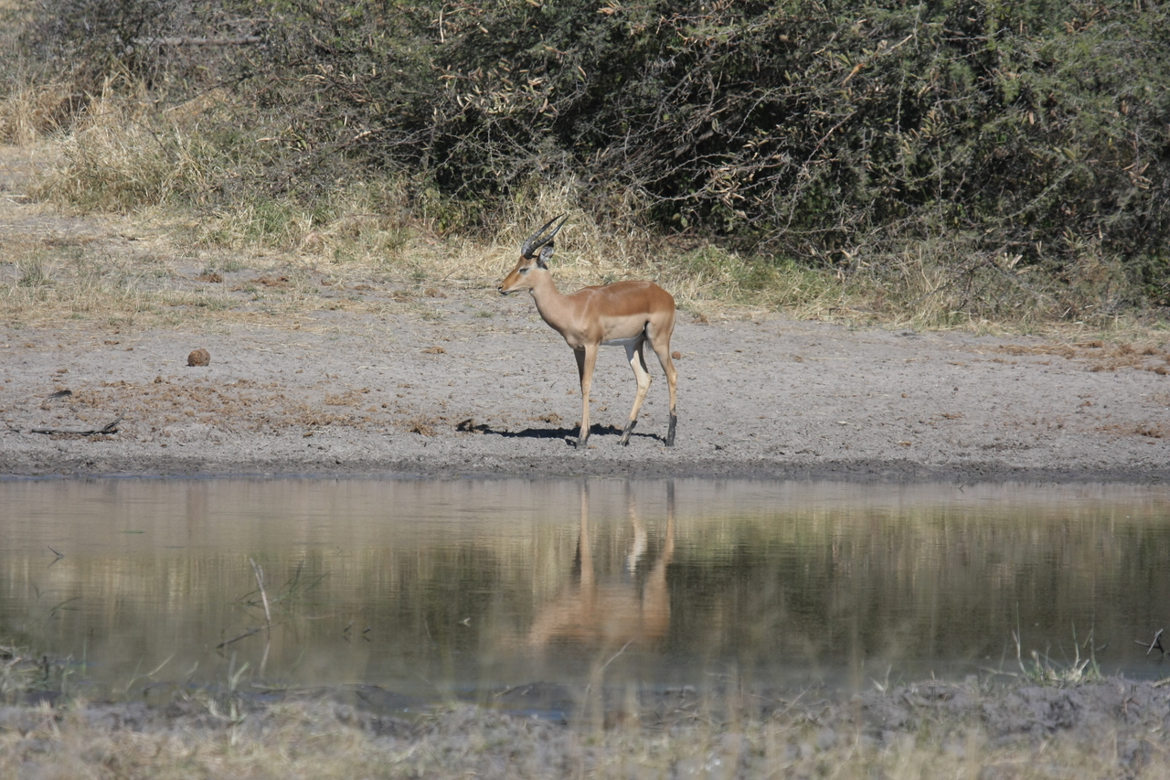 [16933] 2016_06_27_08_07_28_Africa_Canon_EOS_40D_IMG__09787.jpg