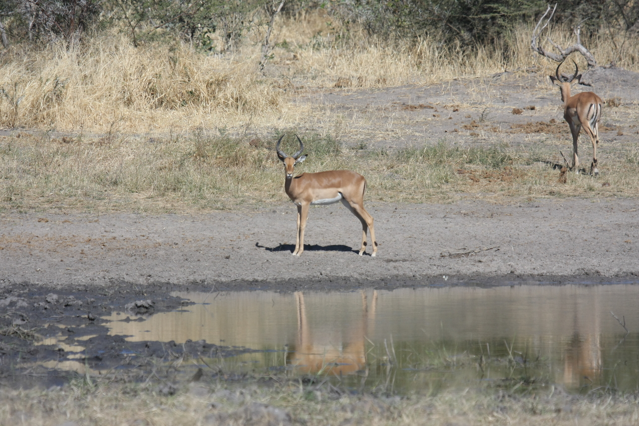 [16934] 2016_06_27_08_07_36_Africa_Canon_EOS_40D_IMG__00051.jpg