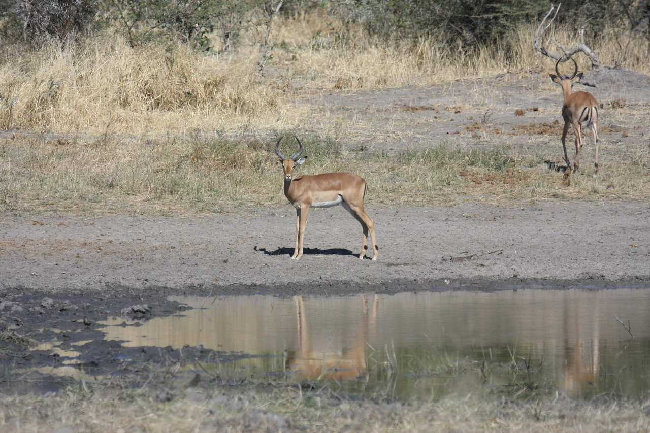 [16935] 2016_06_27_08_07_36_Africa_Canon_EOS_40D_IMG__00052.jpg