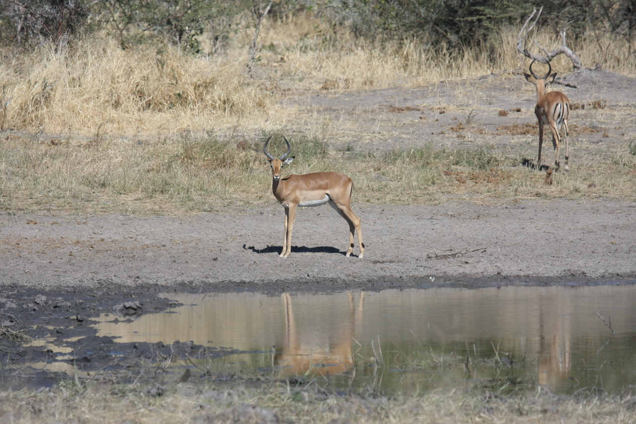 [16939] 2016_06_27_08_07_36_Africa_Canon_EOS_40D_IMG__02343.jpg