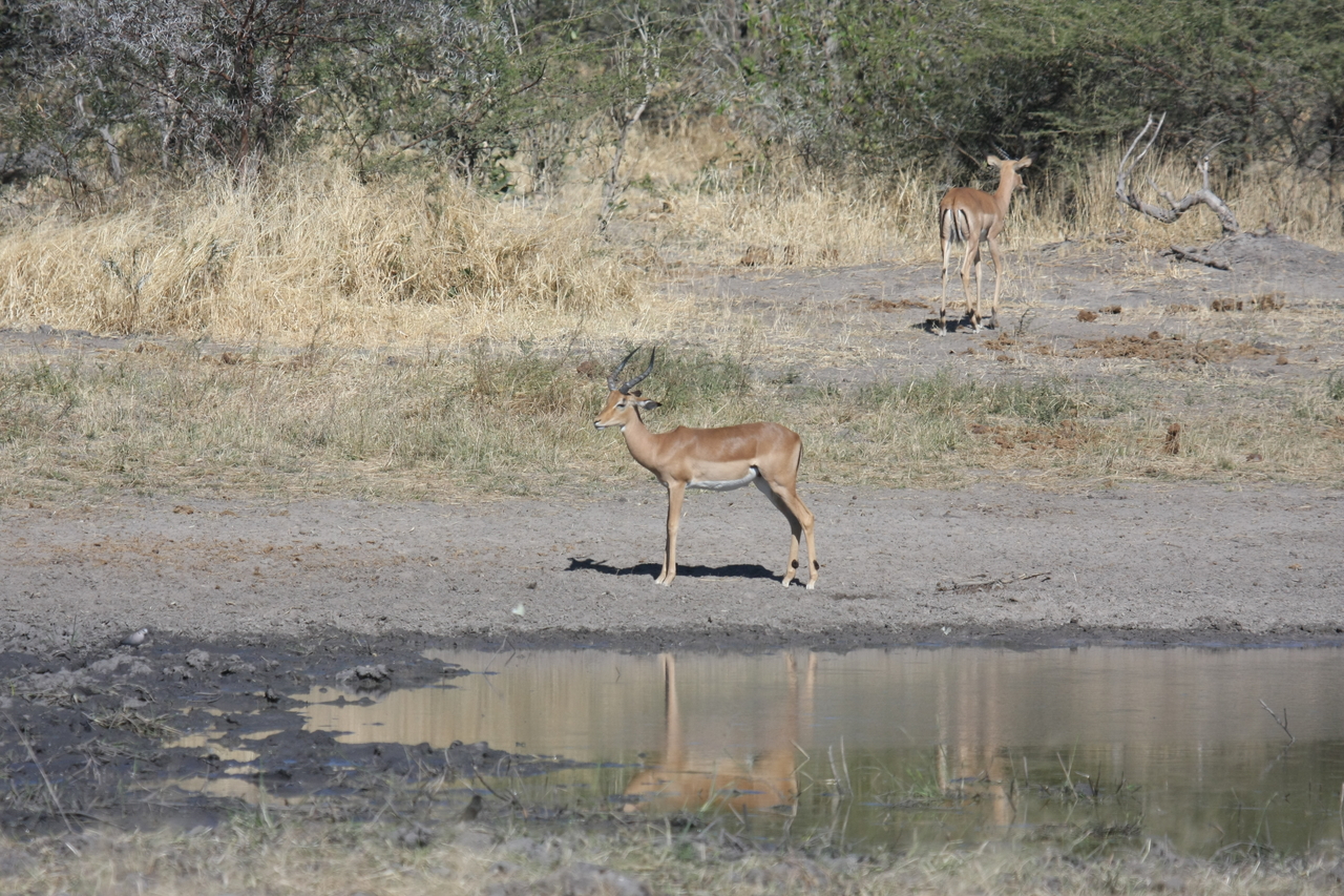 [16949] 2016_06_27_08_07_50_Africa_Canon_EOS_40D_IMG__00056.jpg