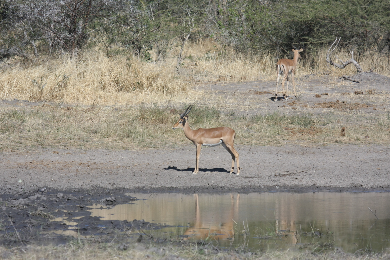 [16950] 2016_06_27_08_07_50_Africa_Canon_EOS_40D_IMG__00058.jpg