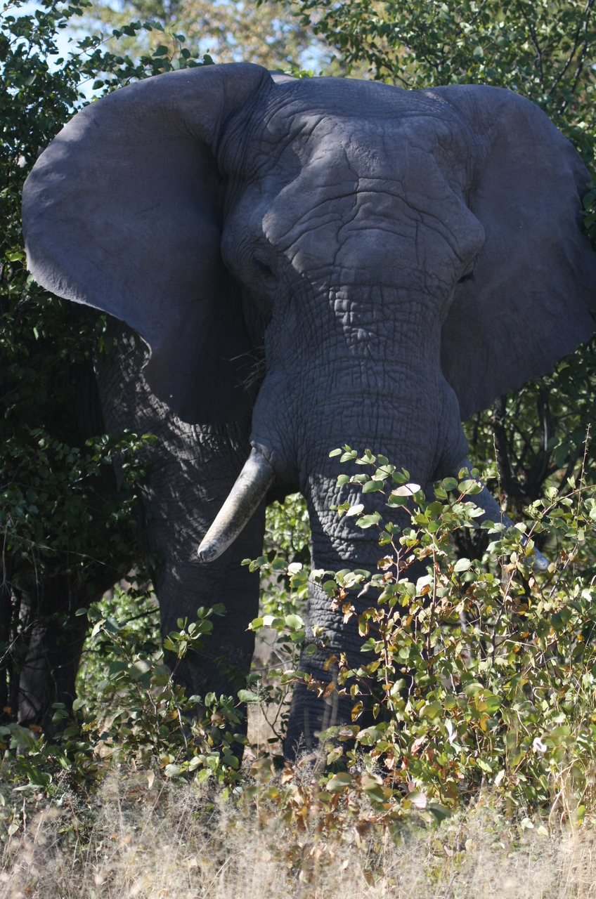 [16998] 2016_06_27_09_18_25_Africa_Canon_EOS_40D_IMG__00069.jpg