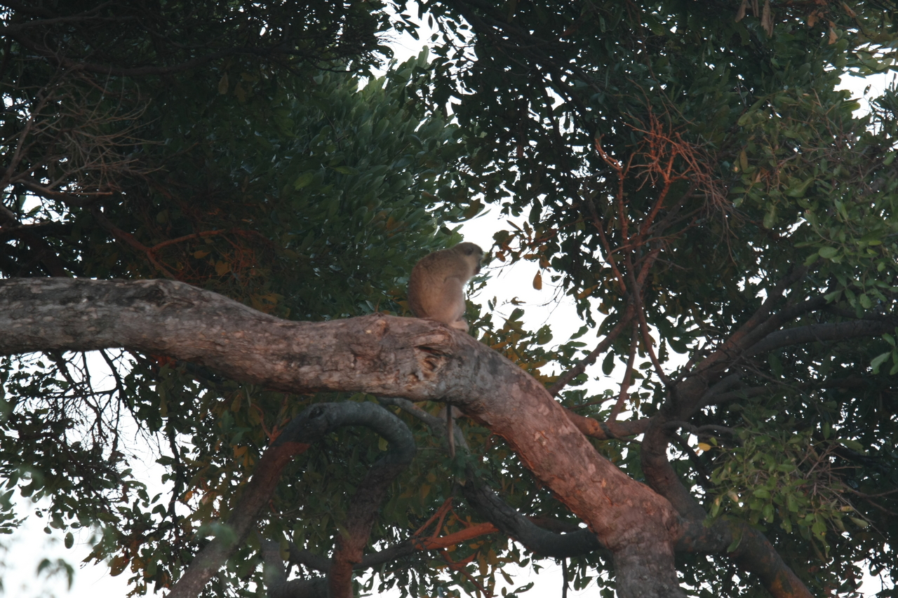 [17488] 2016_06_28_01_03_45_Africa_Canon_EOS_40D_IMG__10280.jpg