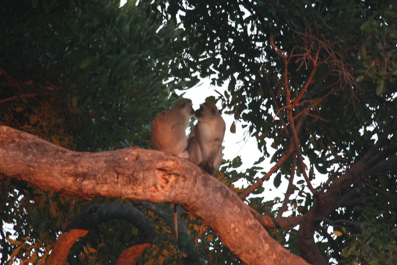 [17498] 2016_06_28_01_05_06_Africa_Canon_EOS_40D_IMG__03232.jpg